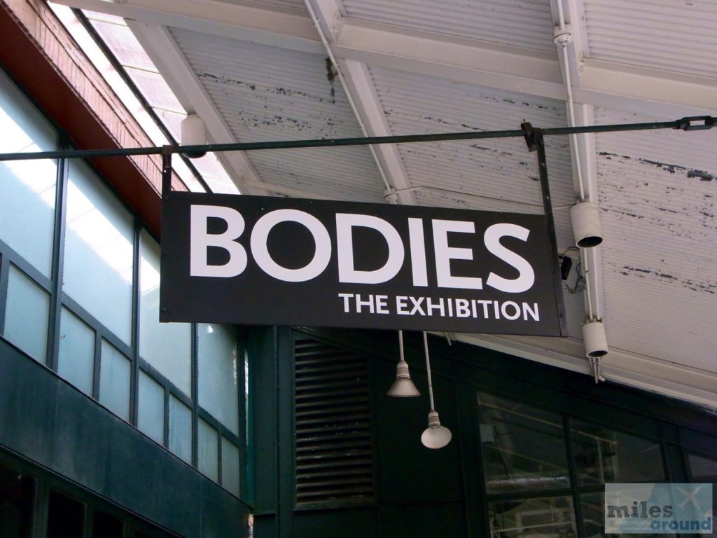 BODIES - The Exhibition