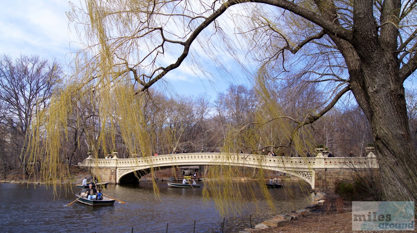 NYC: Coney Island und Central Park 19 Bogenbrücke über "The Lake"