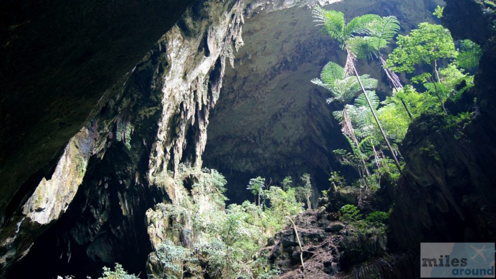 Höhlenportal der Deers Cave - Größte der Welt