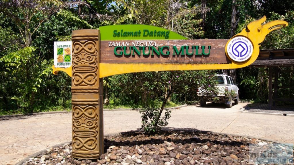 Willkommen im Dschungel von Mulu! (Reisebericht)