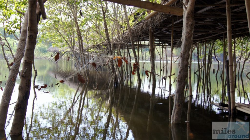 Reste der schwimmenden Märkte von Ayutthaya