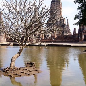 Wat Chaiwatanaram unter Wasser
