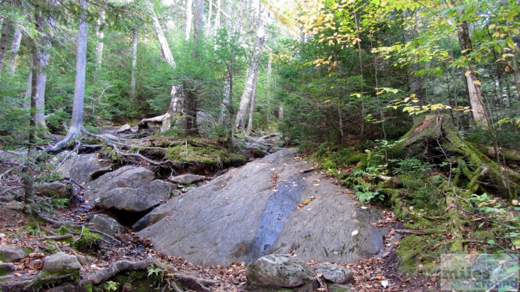 Bald Mountain Trail