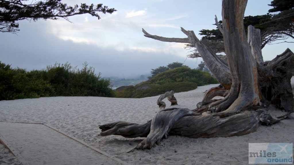 Am Strand von Carmel