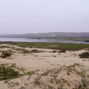 Übergang zwischen Sand und Wiese