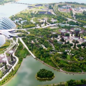 Aussicht auf den Gardens by the Bay vom SkyPark