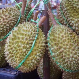 Durians - Night Market in Cenang