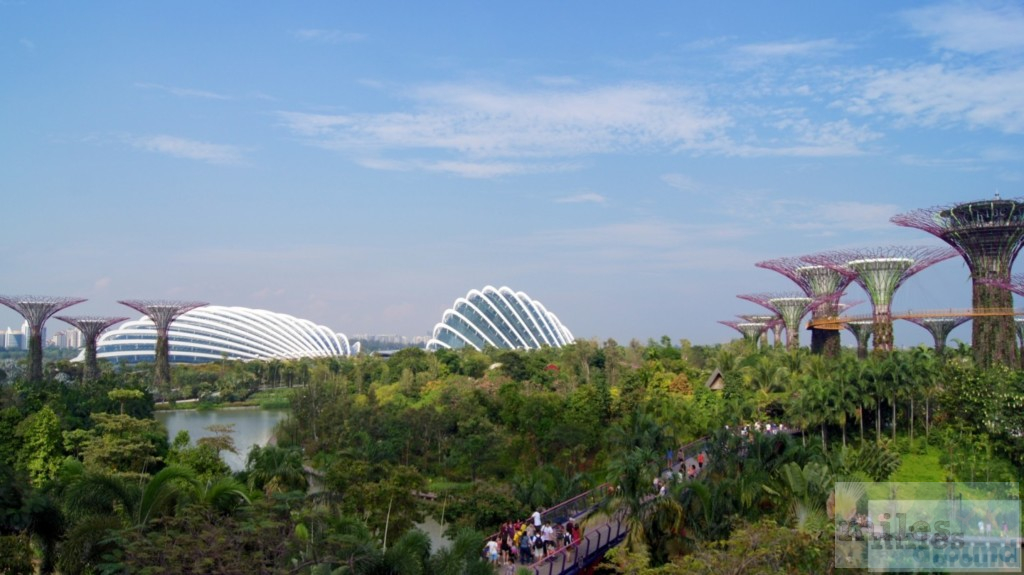 Flower Dome und Cloud Forest - Gardens by the Bay