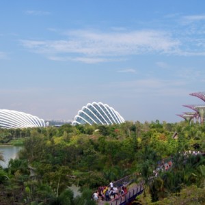 Flower Dome und Cloud Forest - Gardens by the Bay