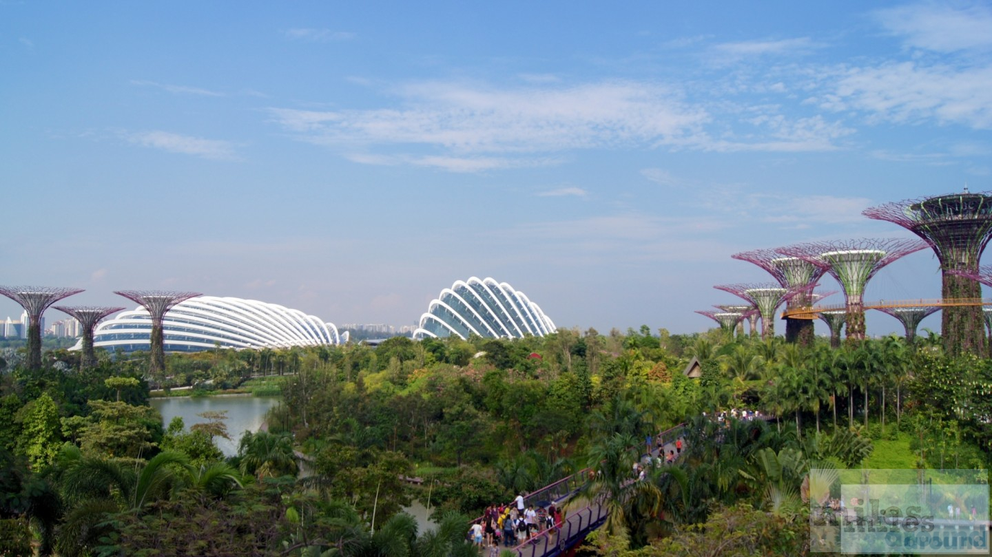 Flower Dome und Cloud Forest - Gardens by the Bay