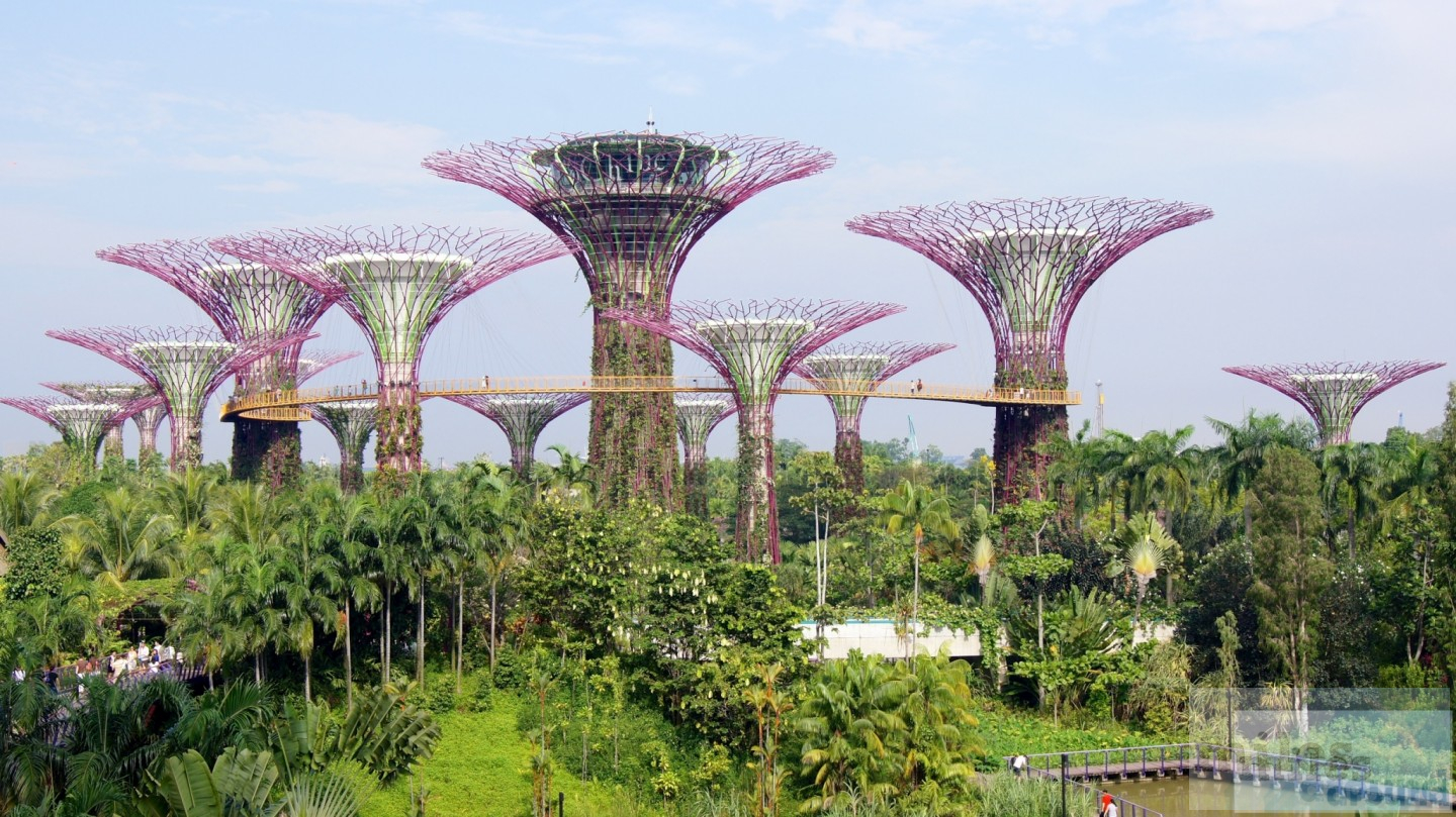 Read more about the article Gardens by the Bay und Lichtshow „Wonderfull“