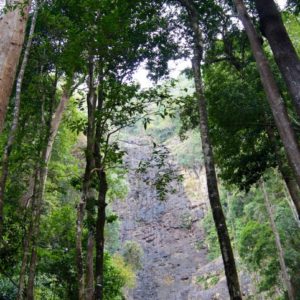 Hutan Lipur Air Terjun Temurun