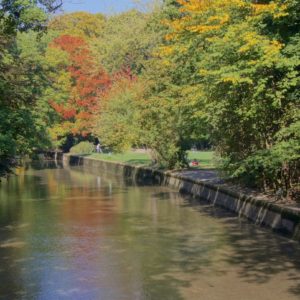 Englischer Garten