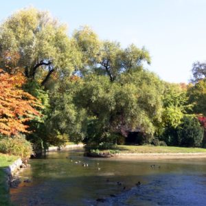 Englischer Garten