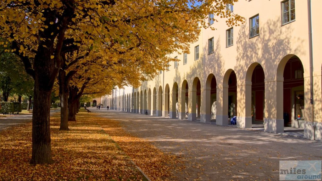 Discover the Bavarian capital Munich with DriveNow 30ntdecken 30 Indian Summer Feeling im Hofgarten