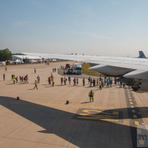 Die ersten Besucher erwarten uns