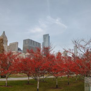 Millenium Park