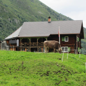 Schweizer Almhütte am Sertigbach