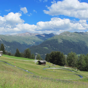 Sommerrodelbahn