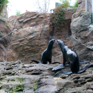 Seattle Aquarium