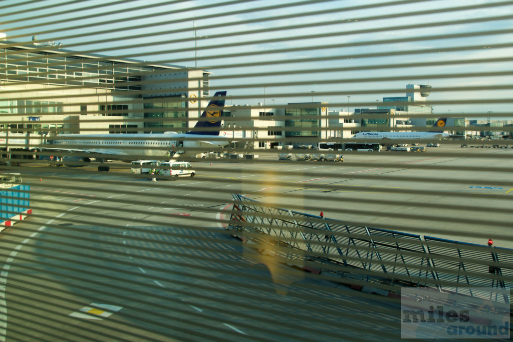 Lufthansa Senator Lounge A-Gates am Flughafen Frankfurt 37 Blick auf das Vorfeld