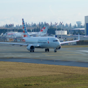 American Airlines Boeing 737 Next Gen - MSN 31258 - N309PC