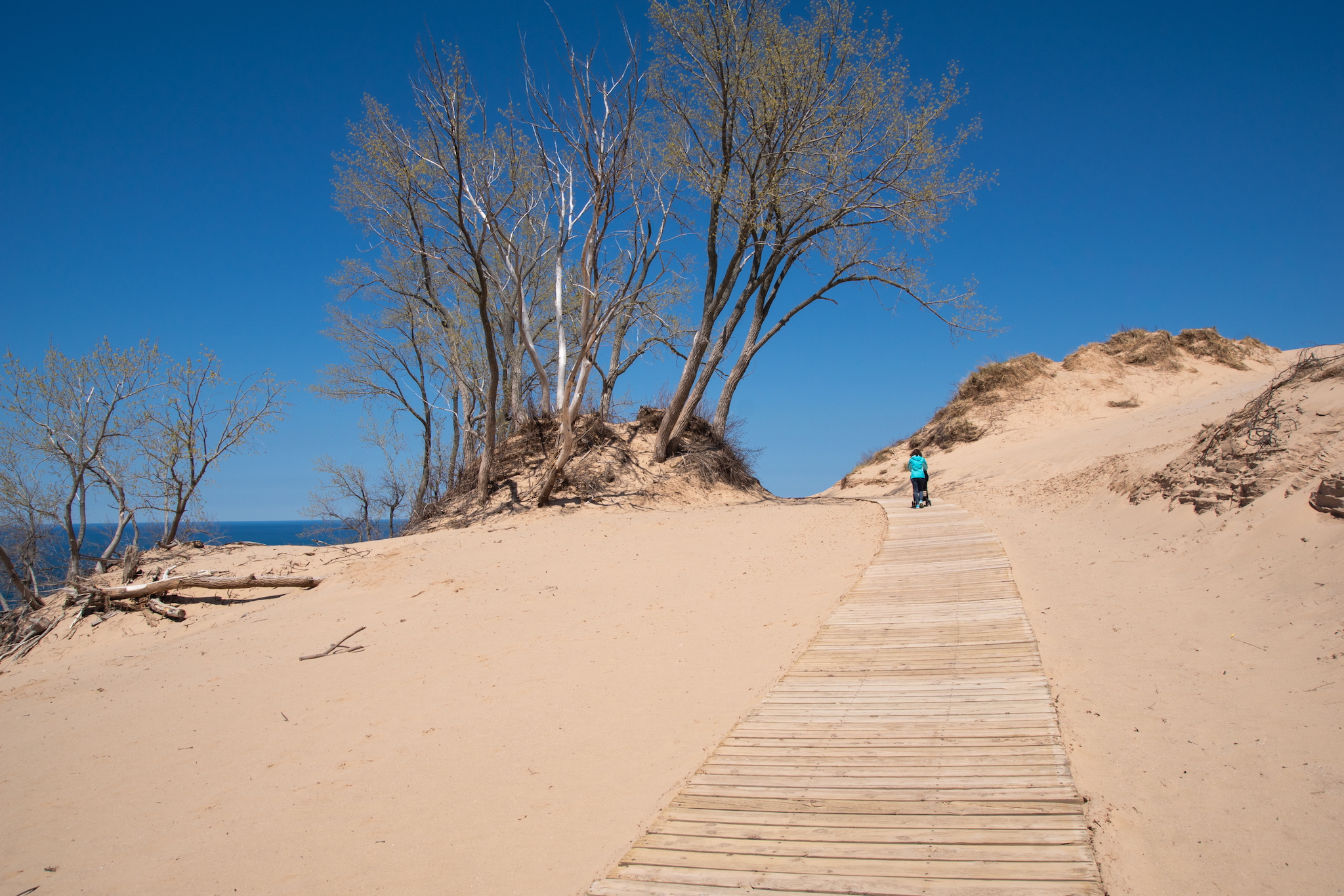 Dünenwanderung an der Steilküste des Michigansee