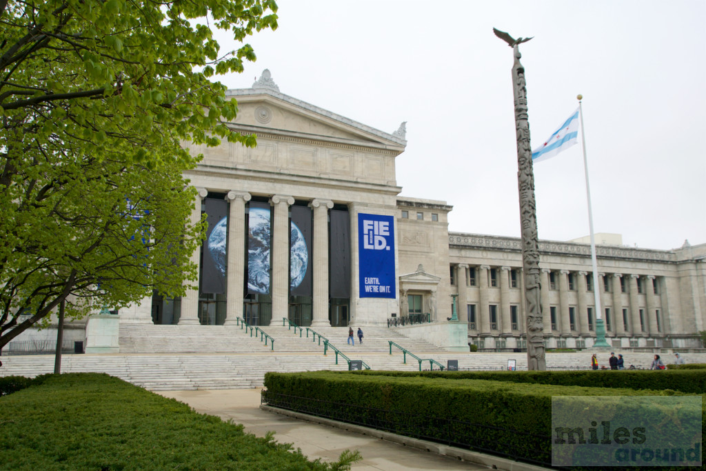 The Field Museum