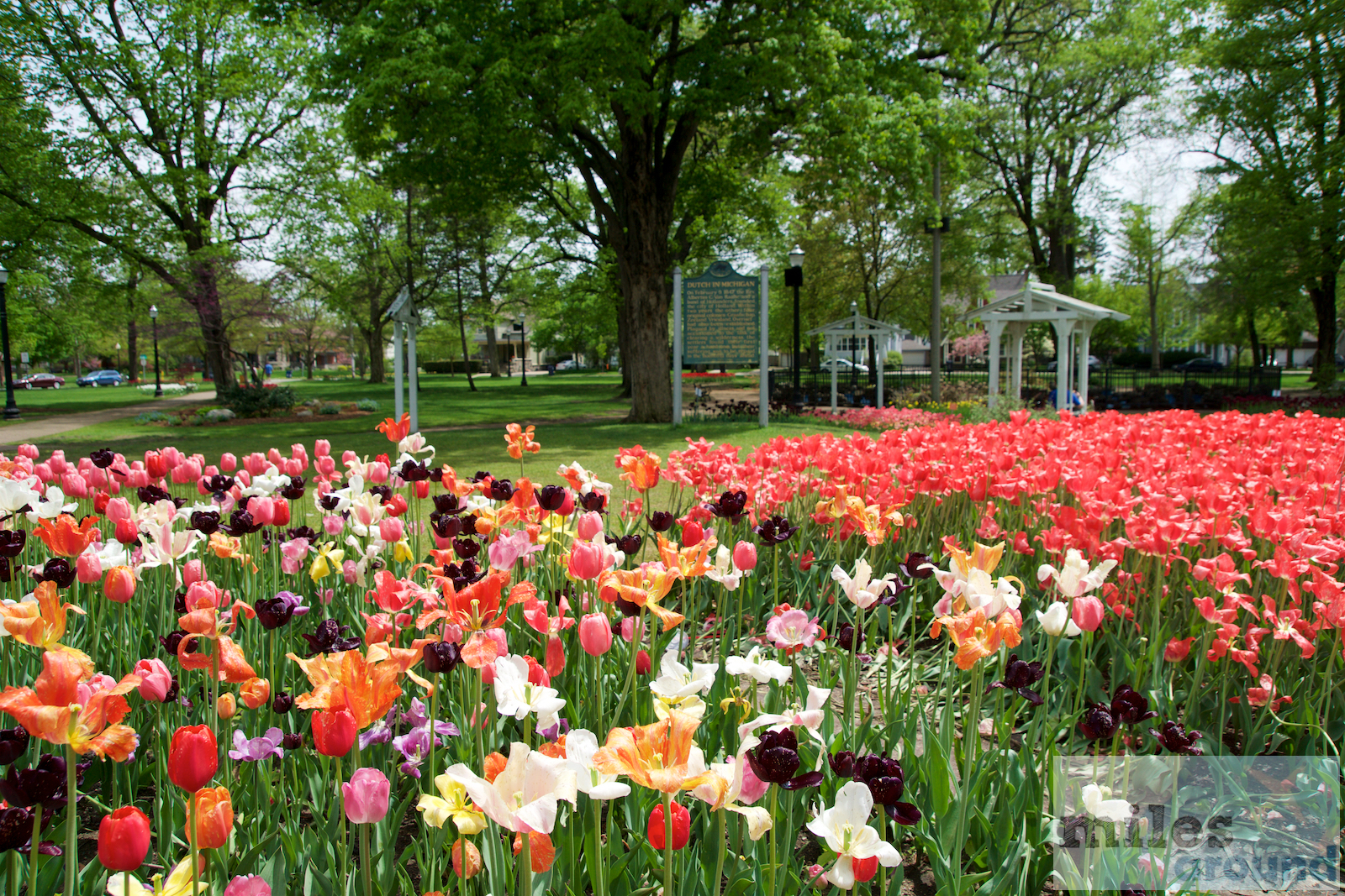 Tulpen Festival in Holland