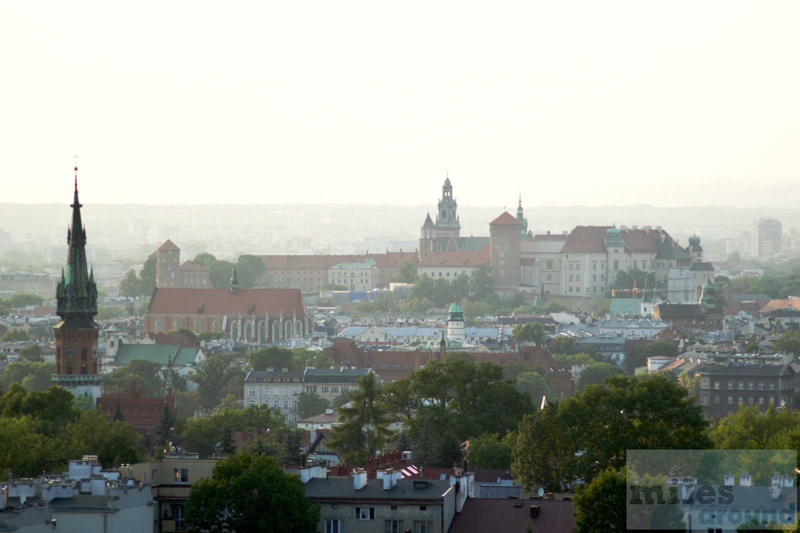Blick auf die Wawel Burg