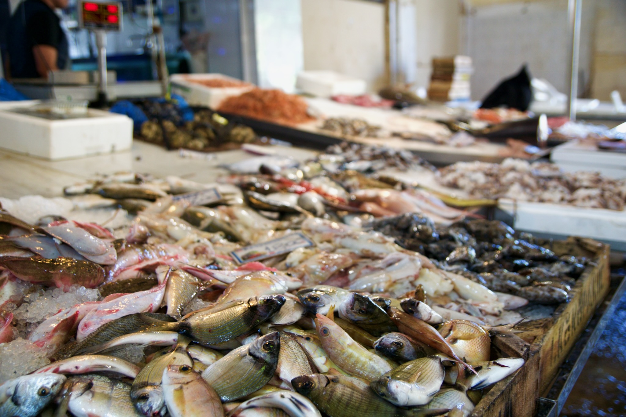 Fresh fish in Chania's indoor marketn der Insel 18 Frischer Fisch in der Markthalle von Chania