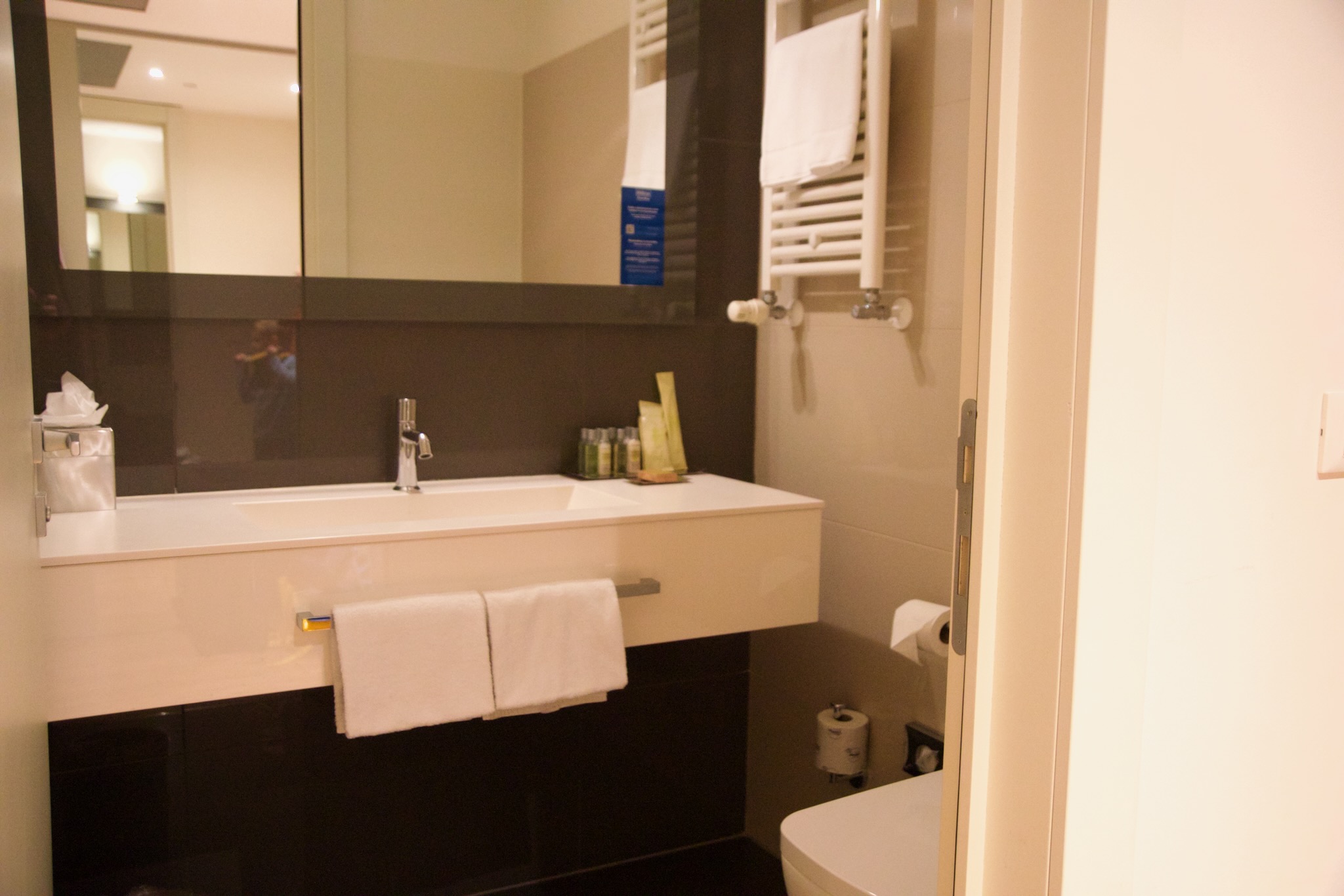 DoubleTree by Hilton Hotel Venice - North 16 Gästetoilette