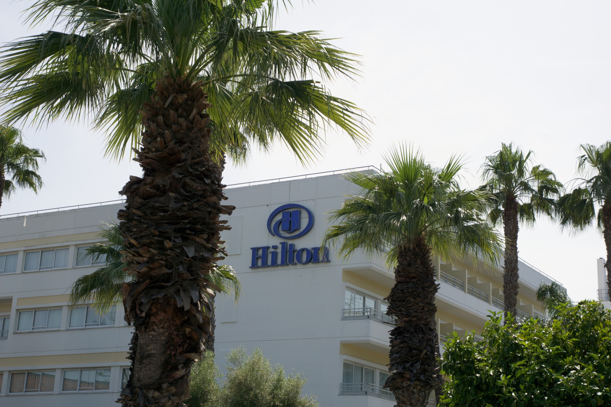 Read more about the article Hilton Nicosia