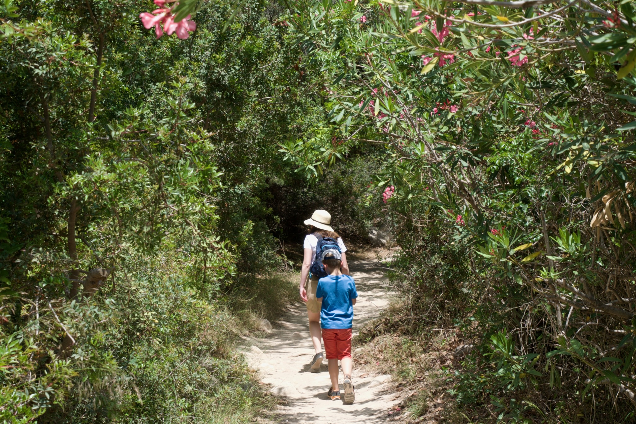 Wanderweg zur Avakas Schlucht