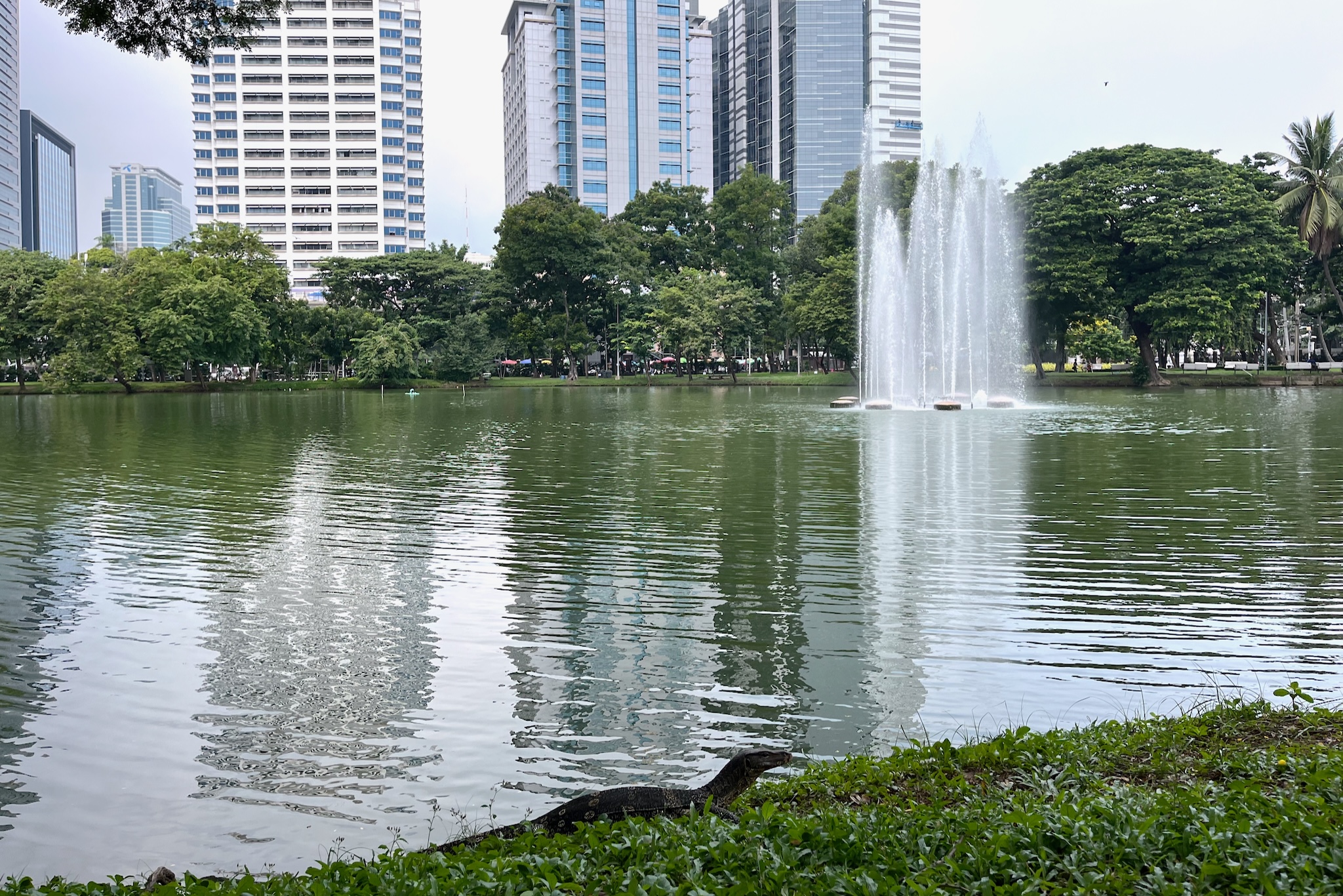 Lumphini Parkk 16 Lumphini Park