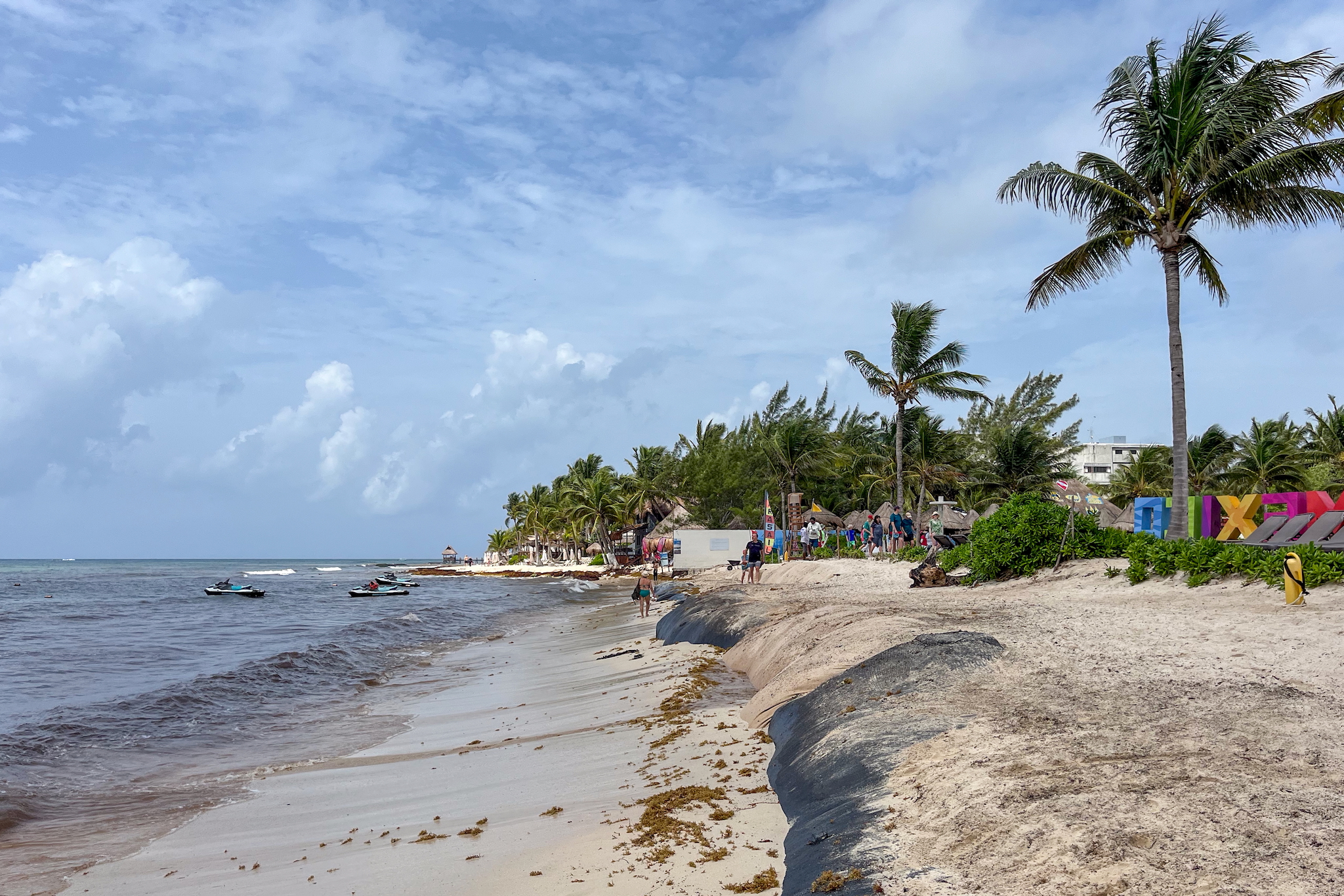 Beach with Sargassum seaweed