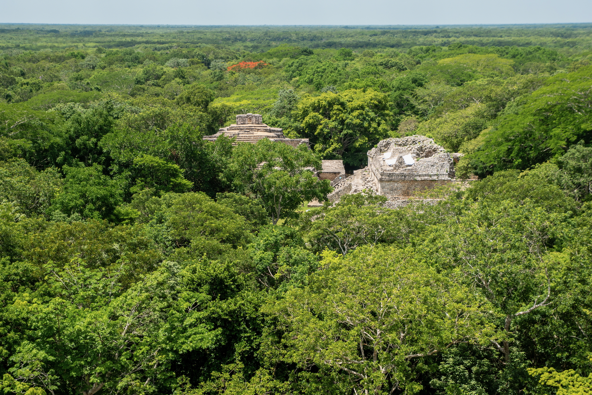 Yucatán Mexiko – unsere Highlights und Tipps für eine unvergessliche Rundreise 20 Blick über Ek Balam im Dschungel Mexikos