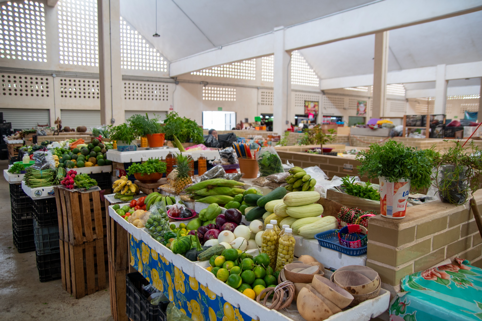 Yucatán Mexiko – unsere Highlights und Tipps für eine unvergessliche Rundreise 32 Gemüseangebot im Mercado Municipal