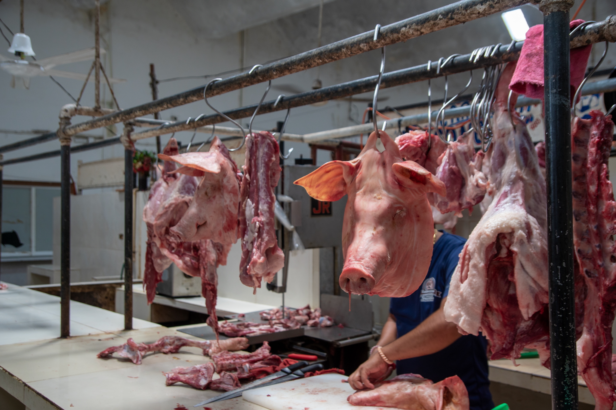 Yucatán Mexiko – unsere Highlights und Tipps für eine unvergessliche Rundreise 33 Lust auf Fleisch?