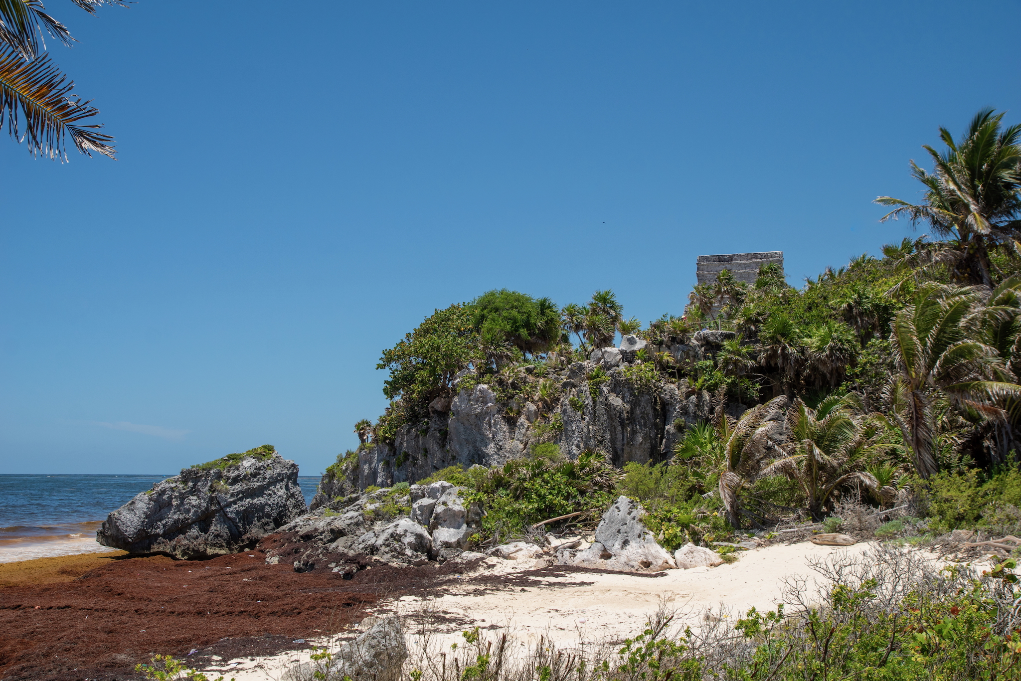 Yucatán Mexiko – unsere Highlights und Tipps für eine unvergessliche Rundreise 25 Strand mit Braunalgen und Templo del Mar im Hintergrund