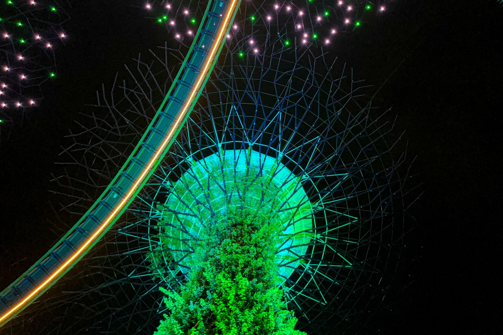 Supertrees bei der kostenlosen Licht- und Musikshow „Garden Rhapsody“