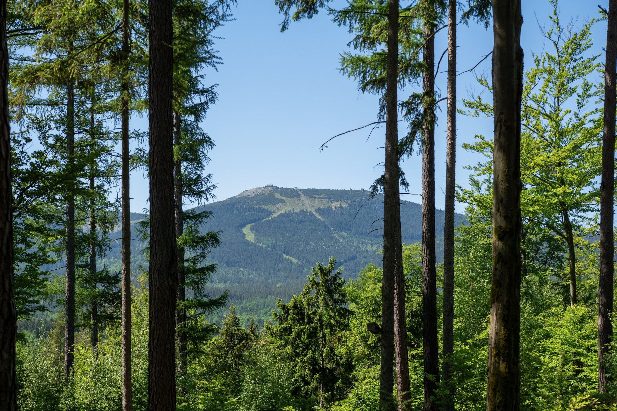 blick auf die schneekoppe Blick auf die Schneekoppe